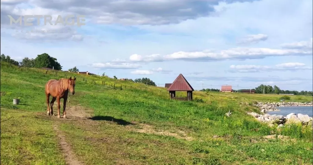 Участок в Новосибирская область, Новосибирский район, Морской ... - Фото 0