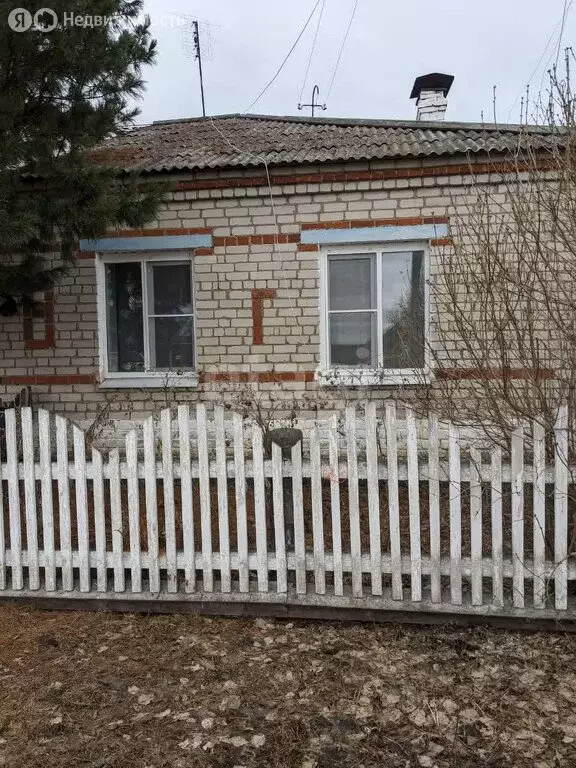Дом в Баженовское сельское поселение, деревня Палецкова, улица ... - Фото 1