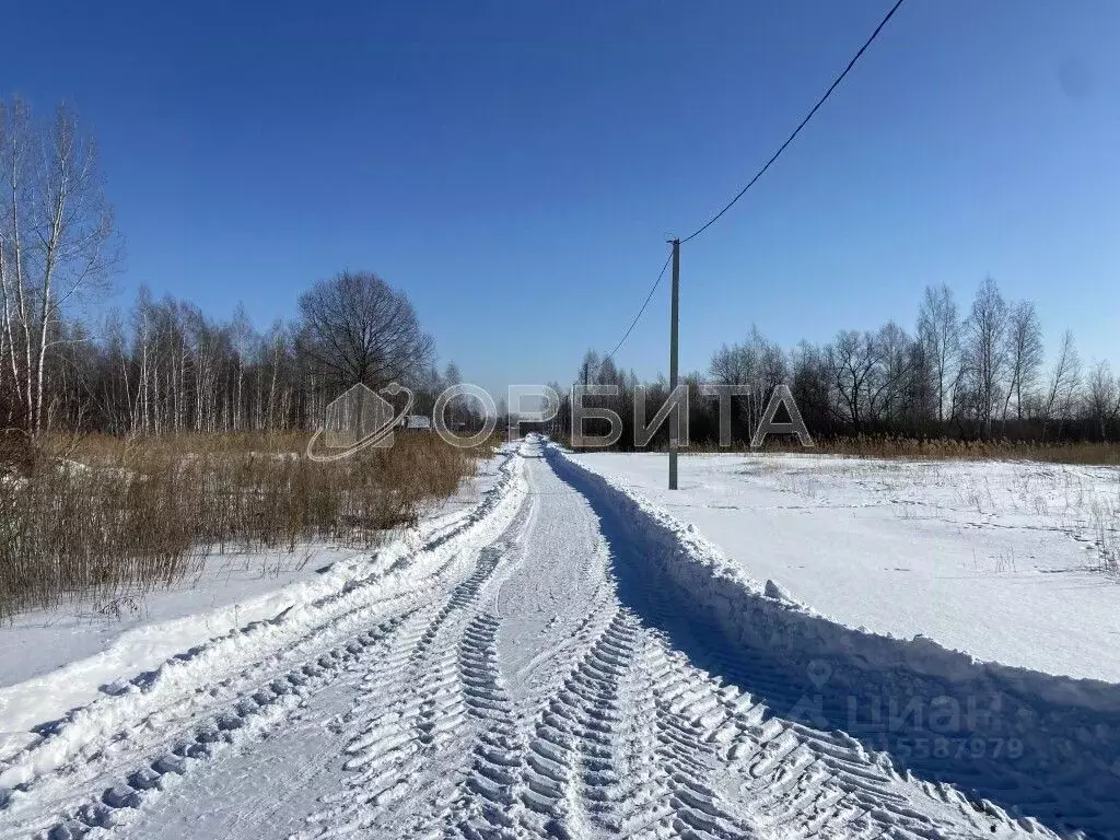 Участок в Тюменская область, Нижнетавдинский район, Тюневское с/пос, ... - Фото 1
