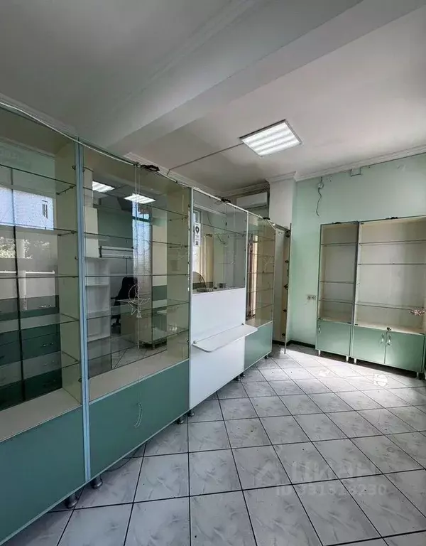 Помещение свободного назначения в Краснодарский край, Сочи Донская ... - Фото 1