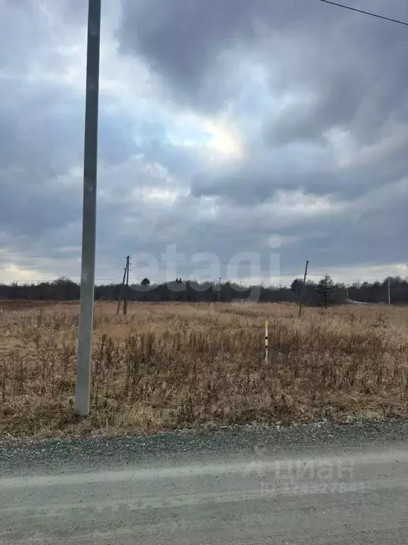 Участок в Сахалинская область, Анивский городской округ, с. Мицулевка  ... - Фото 1