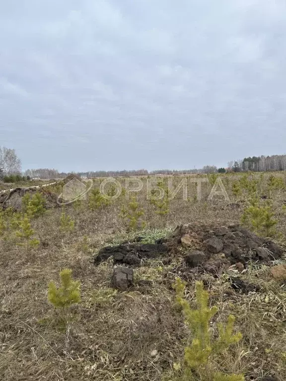 Участок в Тюменская область, Тюменский муниципальный округ, д. Ушакова ... - Фото 2