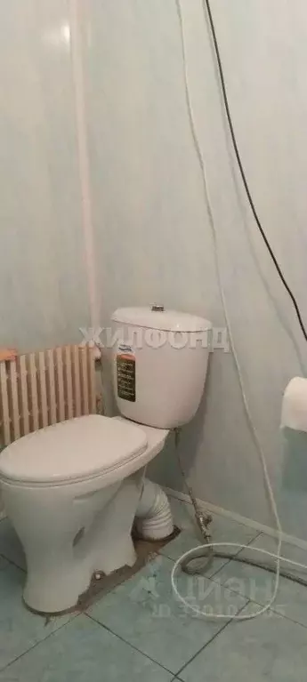 4-к кв. Новосибирская область, Сузунский муниципальный округ, с. Битки ... - Фото 2