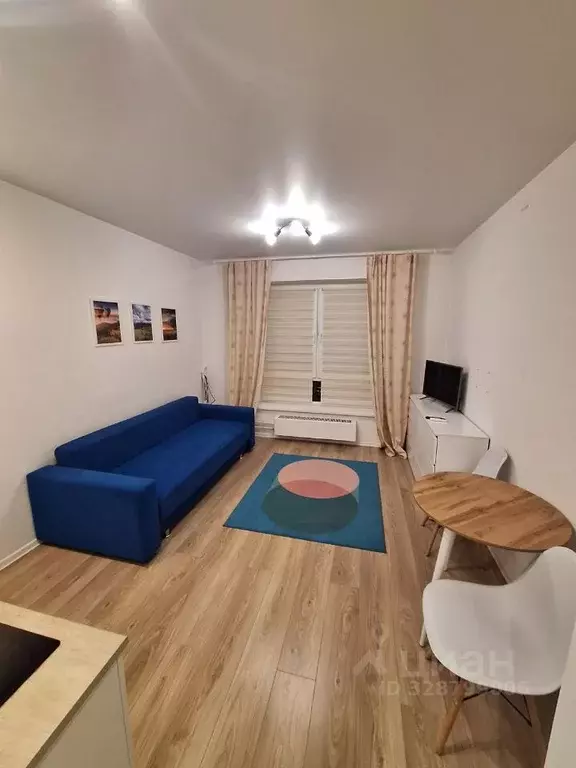 Студия Московская область, Красногорск городской округ, пос. ... - Фото 2