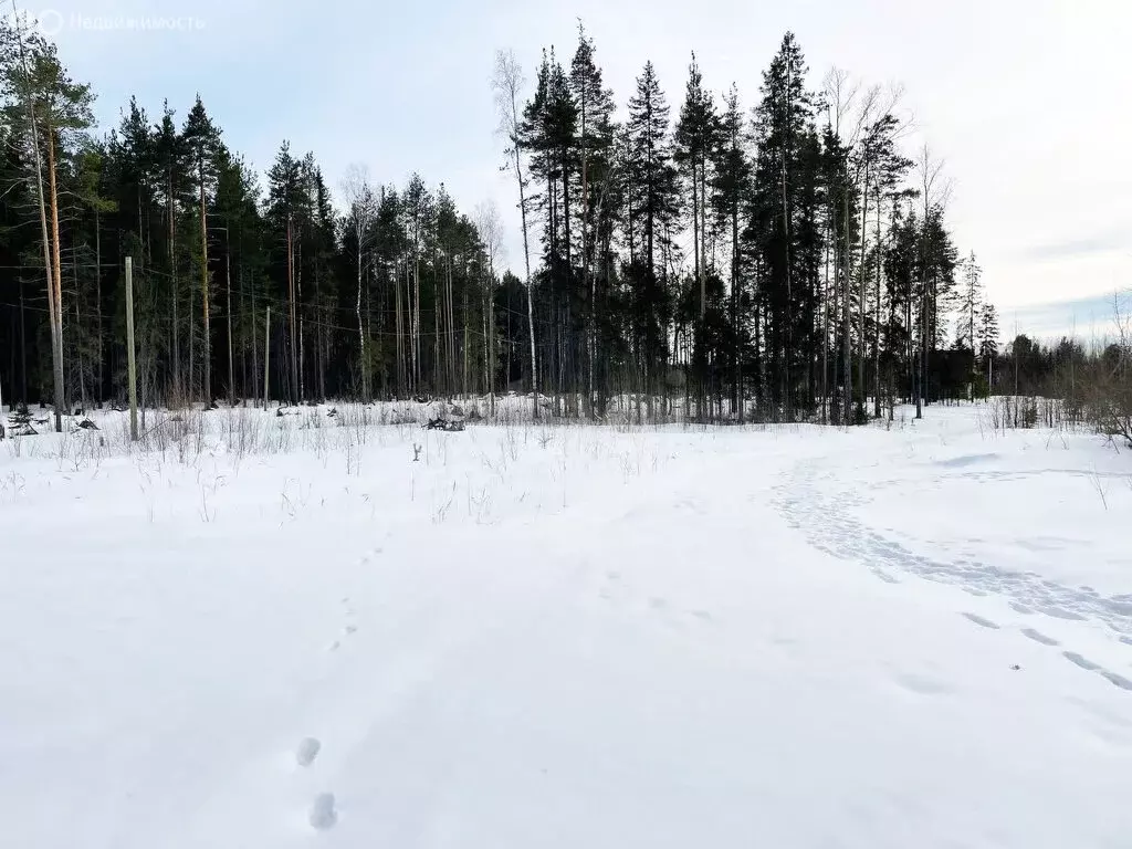 Участок в посёлок городского типа Краснозатонский, Просторная улица ... - Фото 0