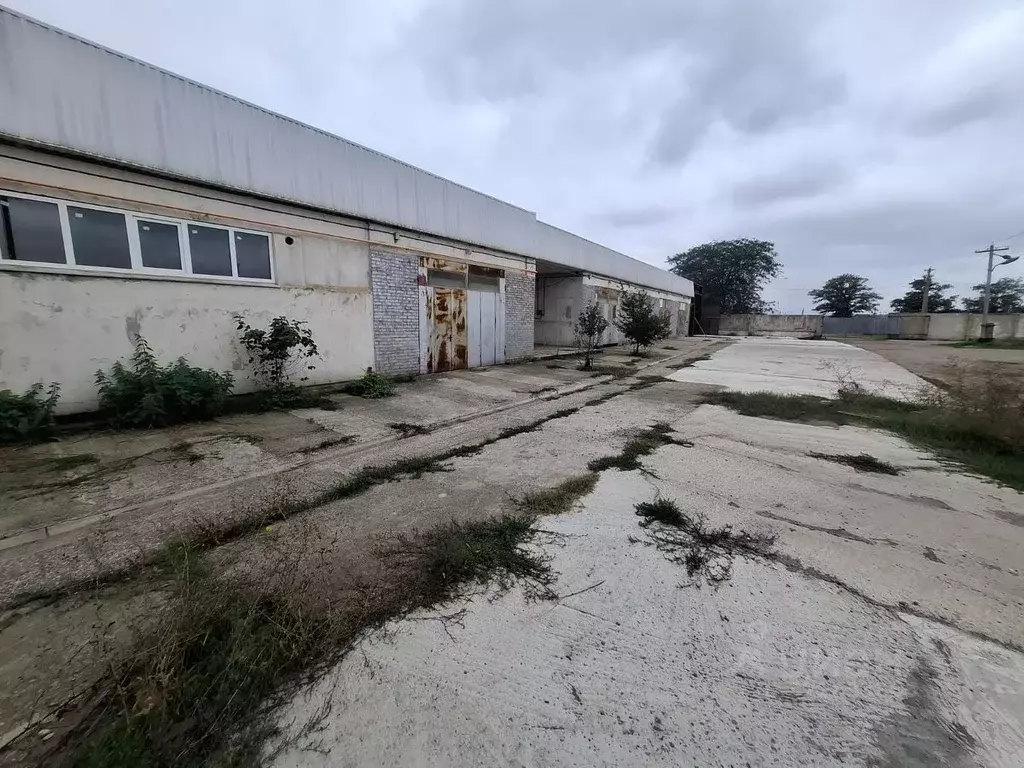 Помещение свободного назначения в Ставропольский край, Георгиевский ... - Фото 1
