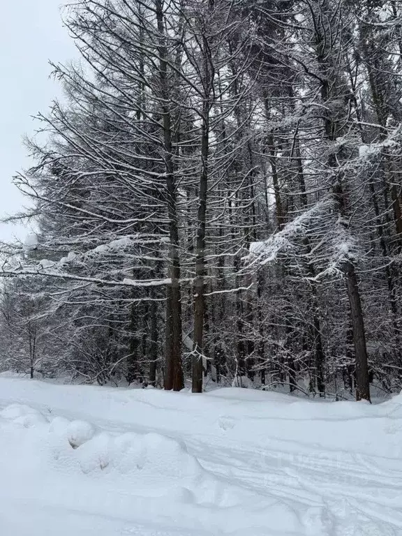 1-к кв. Московская область, Дмитровский муниципальный округ, пос. ... - Фото 2