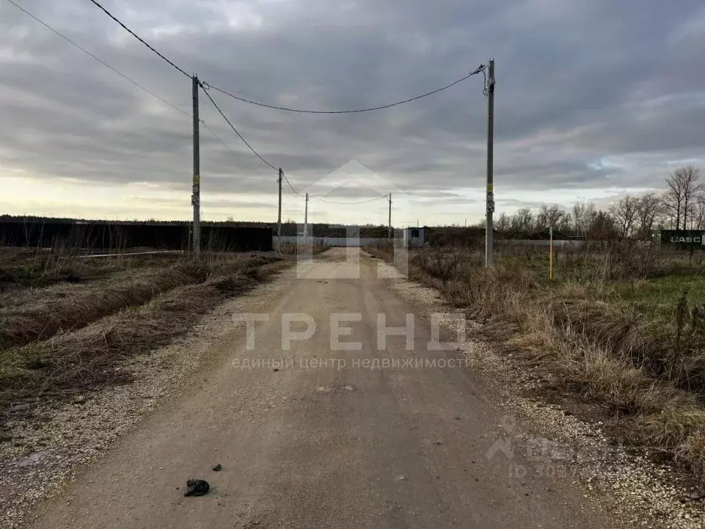 Участок в Ленинградская область, Ломоносовский район, Аннинское ... - Фото 1