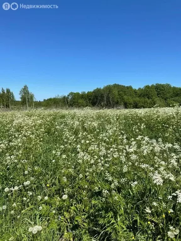 Участок в Череповецкий район, муниципальное образование Воскресенское, ... - Фото 0
