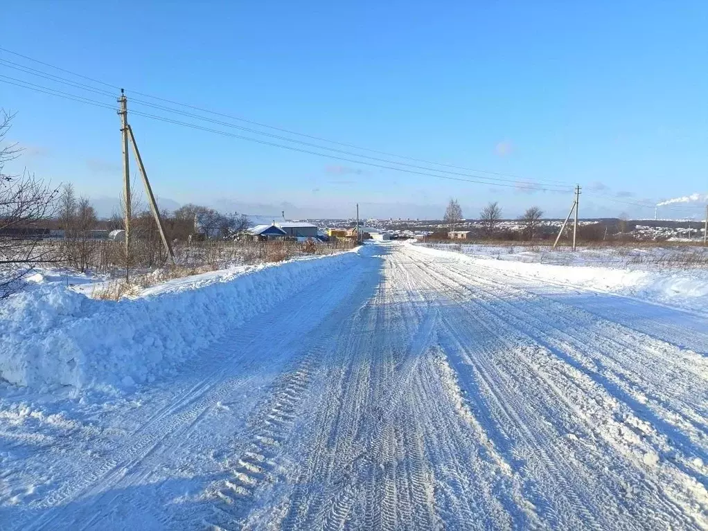 Участок в Чувашия, Чебоксарский муниципальный округ, д. Ильбеши  (10.0 ... - Фото 2
