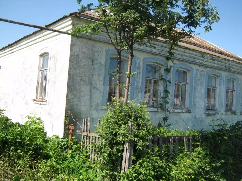 Погода в шагаево нижегородской области. Село Василевка Починковский район Нижегородской области. Село Васильевка Починковском районе Нижегородской области. С Шагаево Починковский район. Село Шагаево Починковского района Нижегородской области.