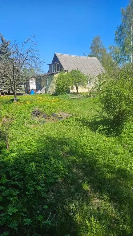 Участок в Санкт-Петербург Лахта тер., ул. Колхозная, 18 (8.0 сот.) - Фото 1