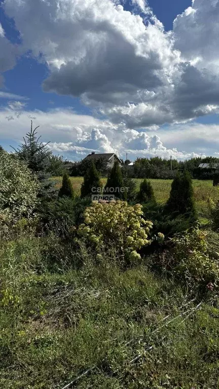 Дом в Самарская область, Ставропольский район, Тимофеевка с/пос, с. ... - Фото 2