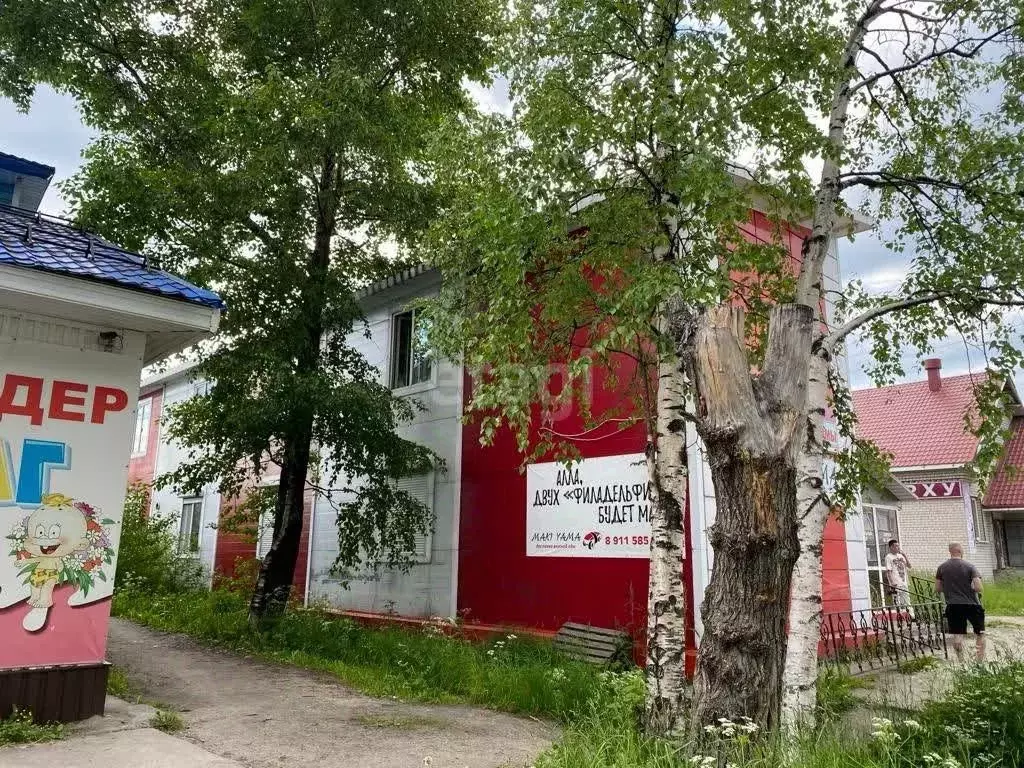 Торговая площадь в Архангельская область, Няндома ул. Леваневского, ... - Фото 1