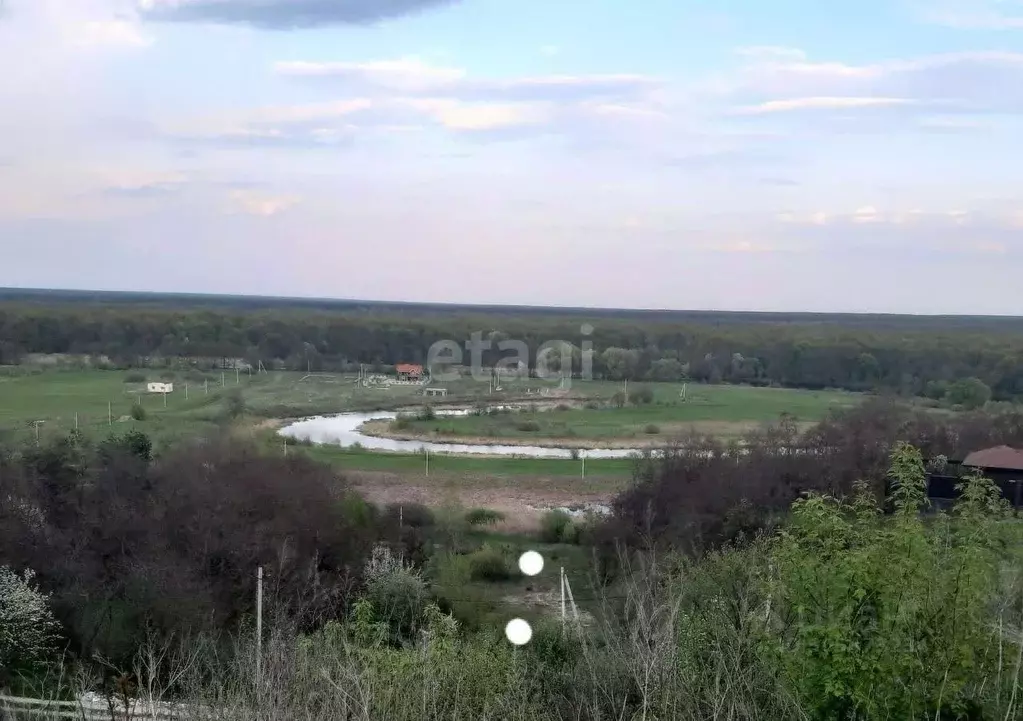 Участок в Воронежская область, Рамонский район, с. Березово ул. ... - Фото 1