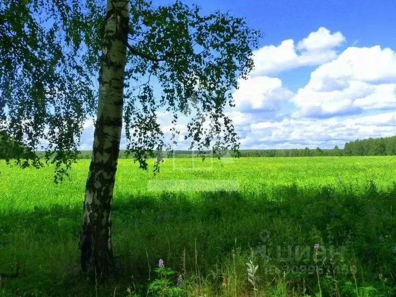 Участок в Челябинская область, Сосновский район, Кременкульское с/пос, ... - Фото 0