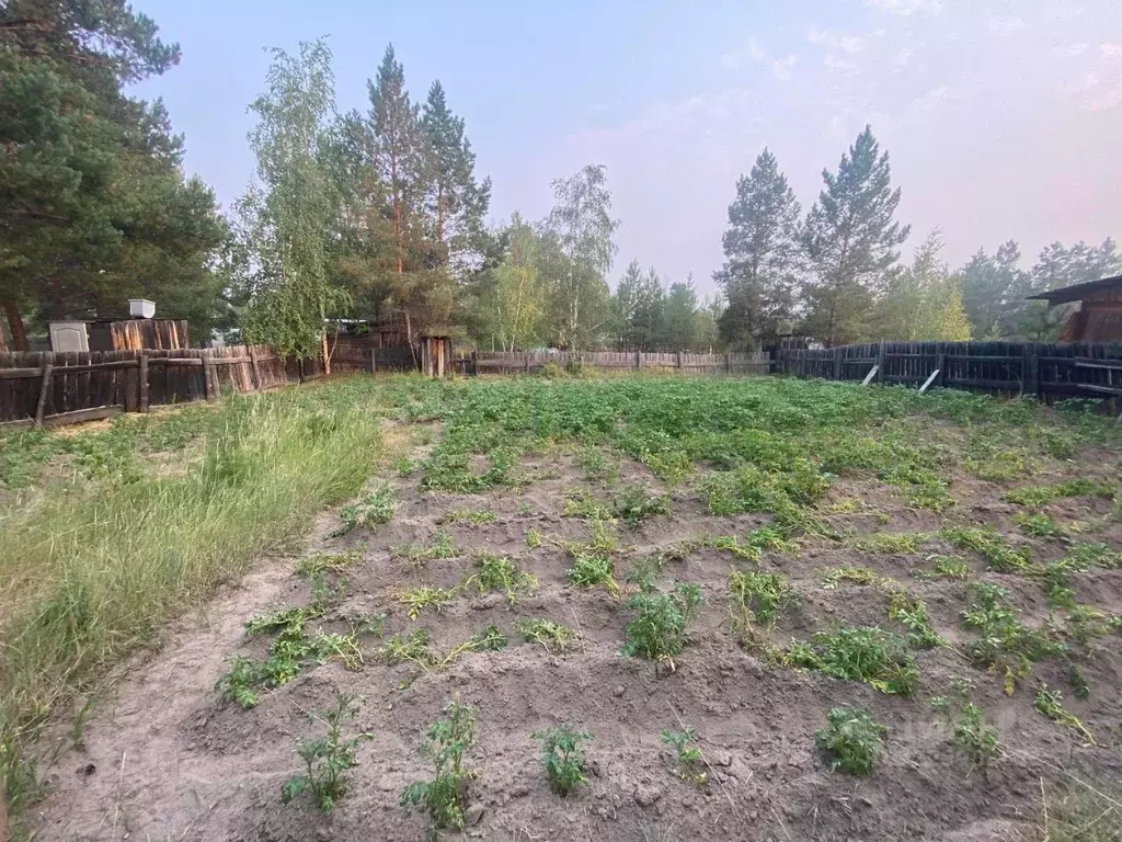 Участок в Саха (Якутия), Якутск городской округ, с. Маган  (6.0 сот.) - Фото 2