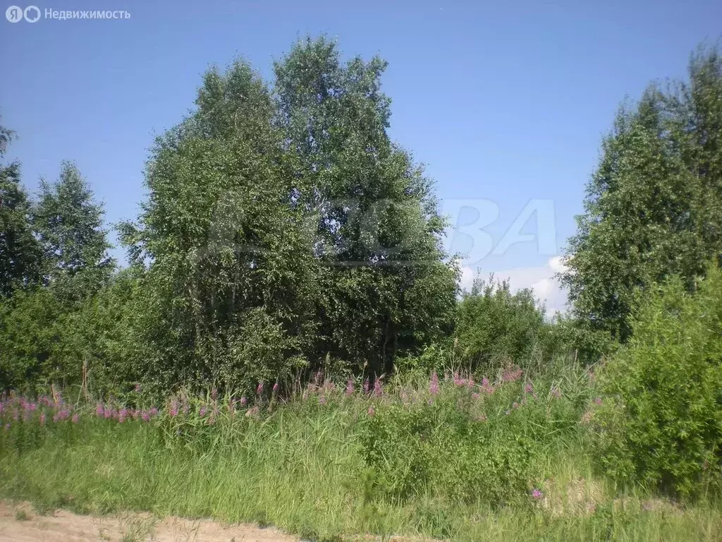 Участок в Свердловская область, Тугулымский муниципальный округ, ... - Фото 1