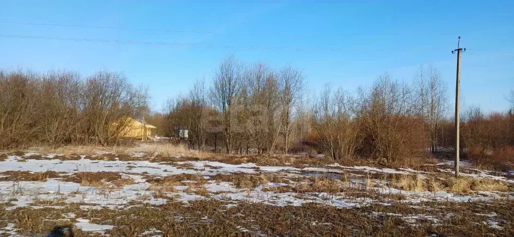 Участок в Вологодская область, Шекснинский муниципальный округ, д. ... - Фото 1