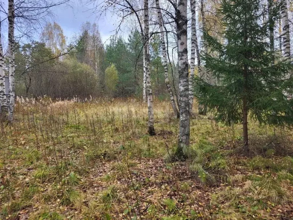 Участок в Ленинградская область, Выборгский район, Первомайское с/пос, ... - Фото 1