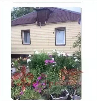 Дом в Белгородская область, Яковлевский муниципальный округ, с. ... - Фото 2