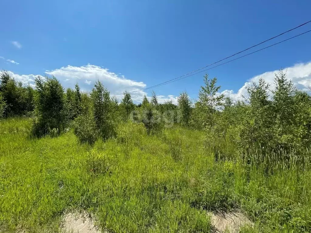 Участок в Калужская область, Калуга городской округ, д. Марьино  (14.5 ... - Фото 2