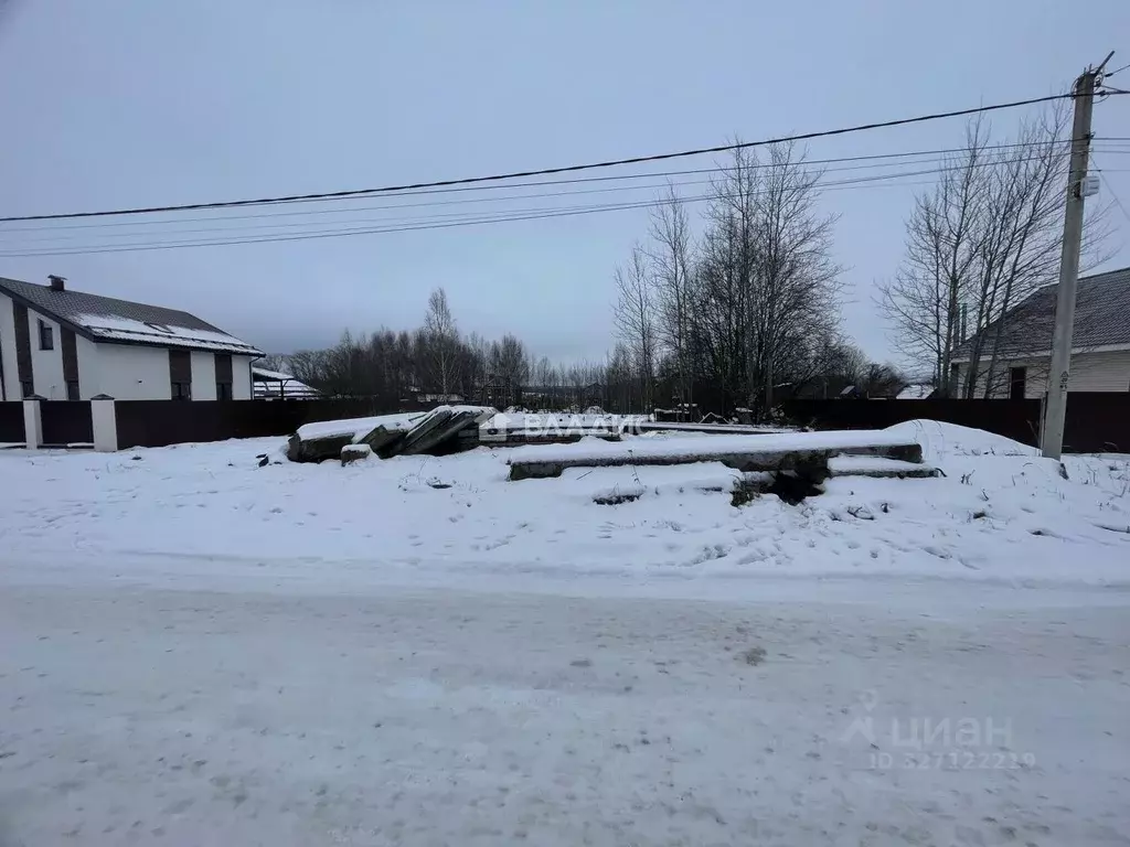 Участок в Нижегородская область, Богородский муниципальный округ, с. ... - Фото 1