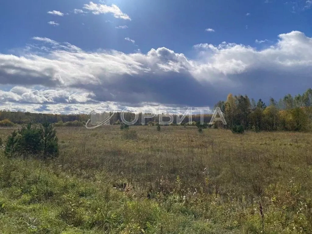Участок в Тюменская область, Нижнетавдинский район, с. Тандашково  ... - Фото 1