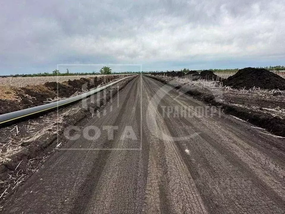 Участок в Воронежская область, с. Новая Усмань, Соловьиный мкр  (10.0 ... - Фото 1