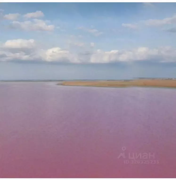 Участок в Крым, Сакский район, Лесновское с/пос, Фрегат-1 СНТ ул. ... - Фото 1