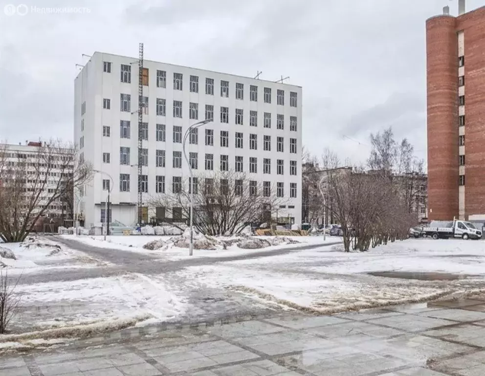 Квартира-студия: Санкт-Петербург, Прилукская улица, 35 (24 м) - Фото 1
