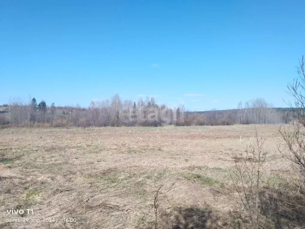 Участок в Свердловская область, Горноуральский муниципальный округ, ... - Фото 1