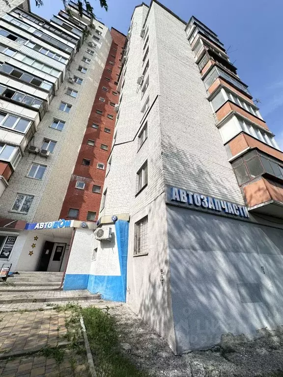 Торговая площадь в Белгородская область, Белгород ул. Белгородского ... - Фото 0