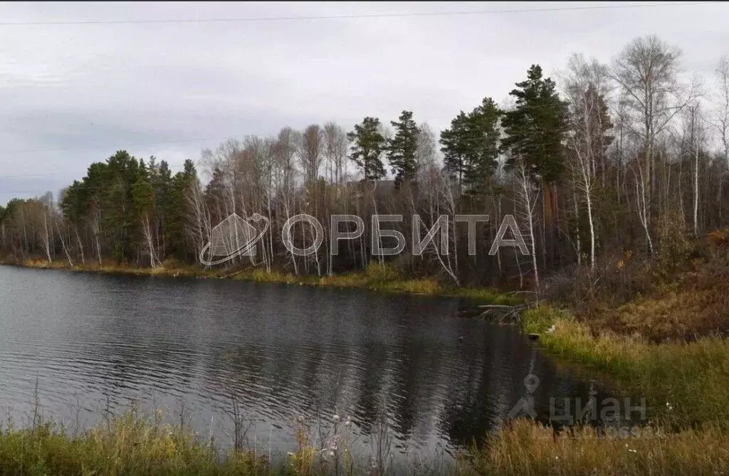 Участок в Тюменская область, Тюмень Центральная пл. (8.0 сот.) - Фото 0