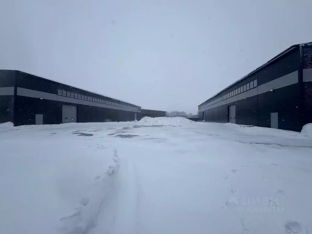 Склад в Московская область, Раменский муниципальный округ, с. Зеленая ... - Фото 2