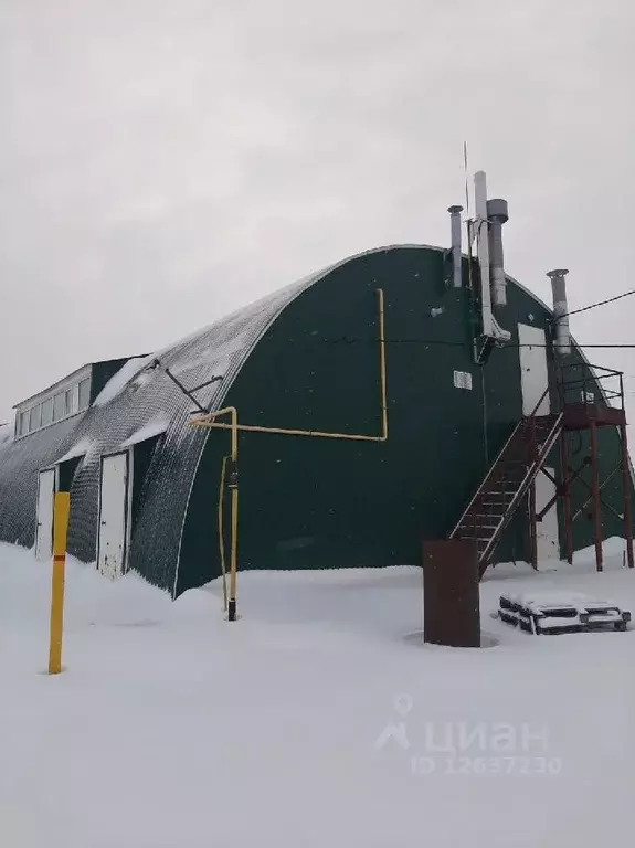 Помещение свободного назначения в Омская область, Шербакуль рп ул. ... - Фото 0