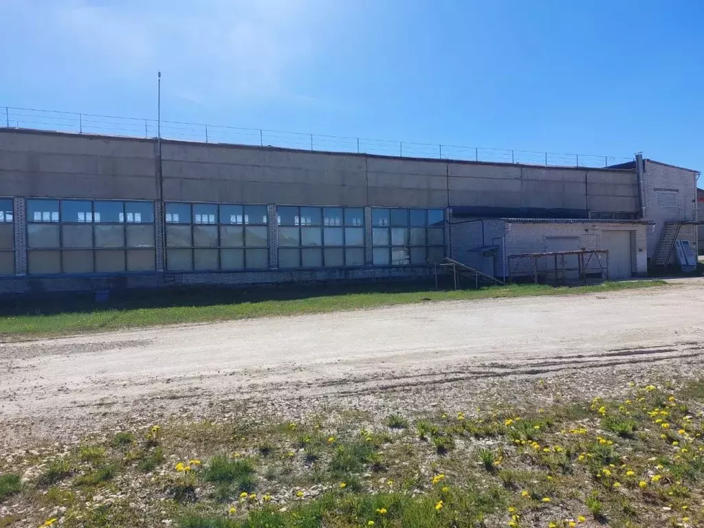 Помещение свободного назначения в Ленинградская область, Гатчинский ... - Фото 2