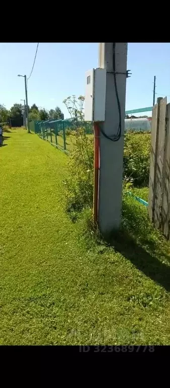 Участок в Пермский край, Пермский муниципальный округ, Газовик СНТ  ... - Фото 1