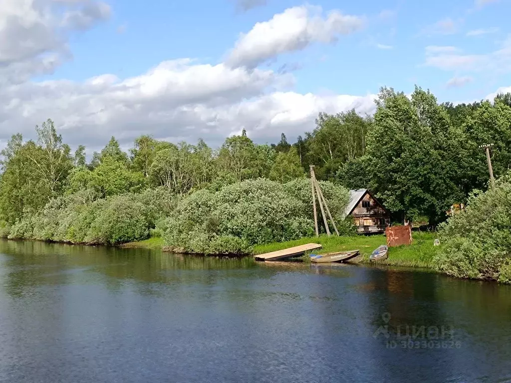 Дом в Новгородская область, Чудовский район, Успенское с/пос, Дубок ... - Фото 1