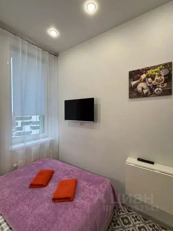 Студия Москва Востряковское ш., 7с2 (12.0 м) - Фото 2