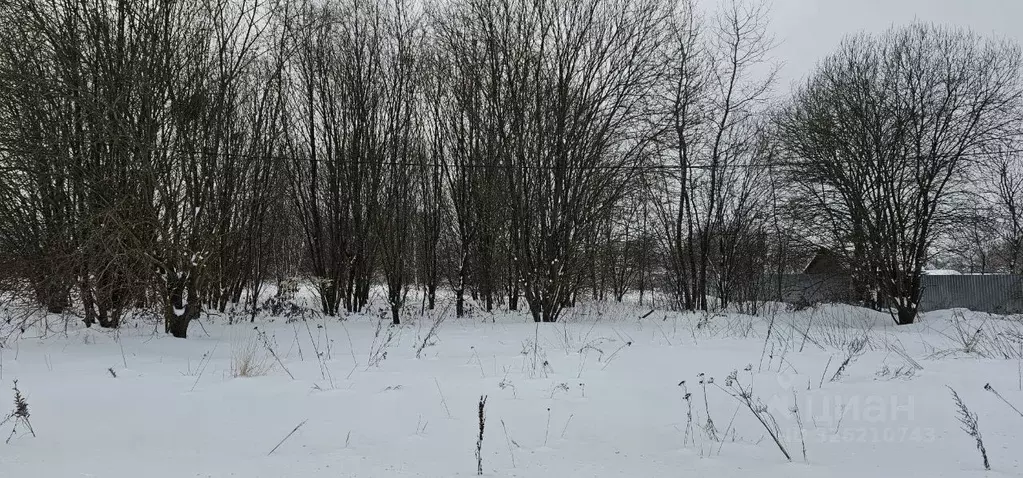 Участок в Московская область, Луховицы  (15.11 сот.) - Фото 2