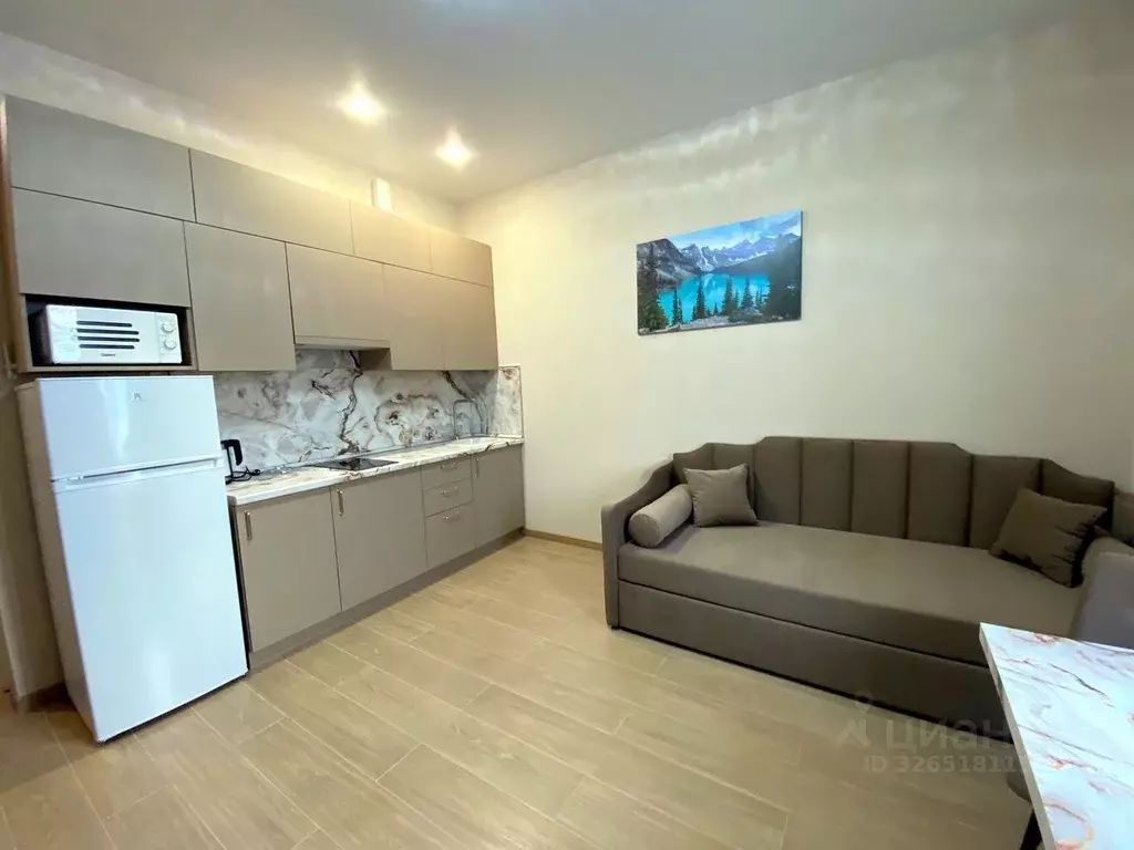 Студия Московская область, Химки Сходня мкр, ул. Ватутина, 2 (25.0 м) - Фото 1