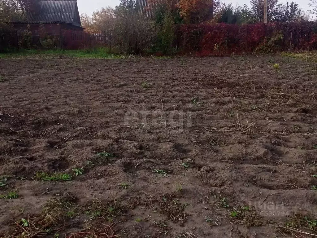 Участок в Алтайский край, Первомайский район, Феникс СНТ ул. 3-я, 76 ... - Фото 1