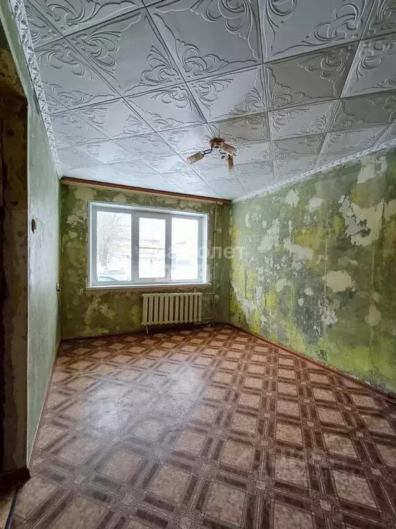 1-к кв. Нижегородская область, Дзержинск просп. Чкалова, 48Б (29.7 м) - Фото 2