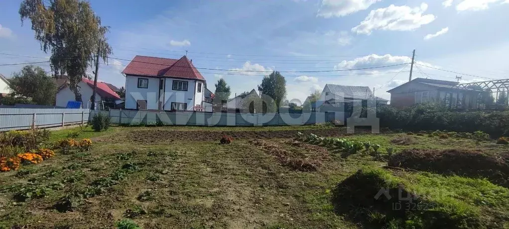 Участок в Новосибирская область, Бердск Заречное садовое товарищество, ... - Фото 2