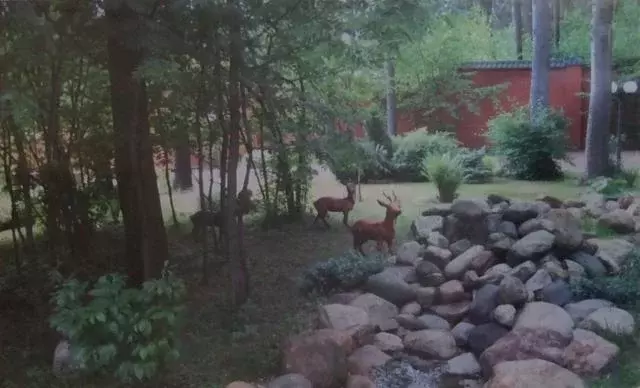 Продается коттедж в д. Назарьево - Фото 2