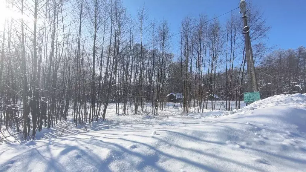 Участок в Московская область, Раменский муниципальный округ, с. ... - Фото 0