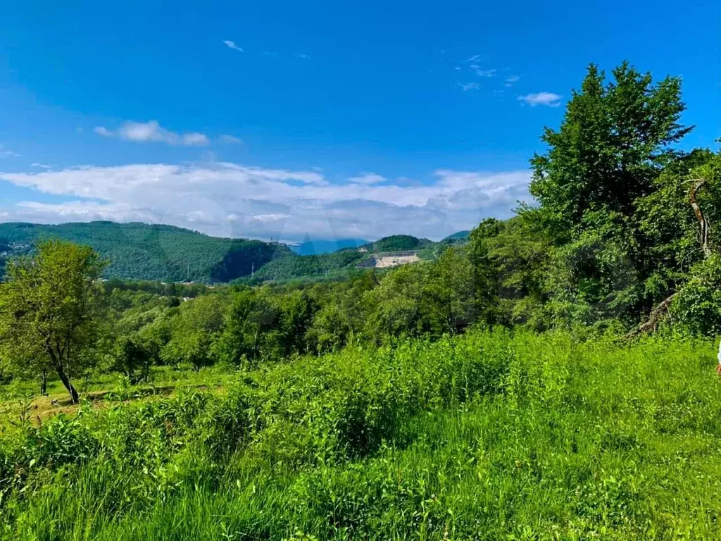 Село Высокое Адлерский Купить Дом
