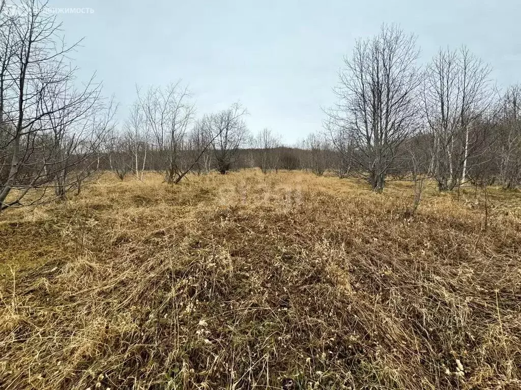 Участок в Петропавловск-Камчатский, Восточное шоссе (15 м) - Фото 1
