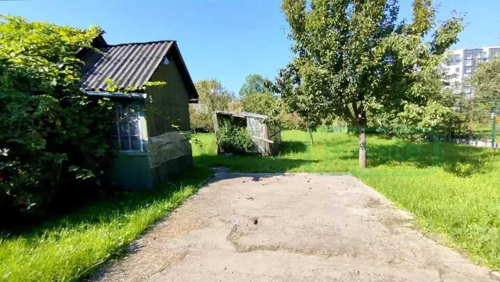 Участок в Калининградская область, Калининград Заря СНТ, ул. Лиловая ... - Фото 1